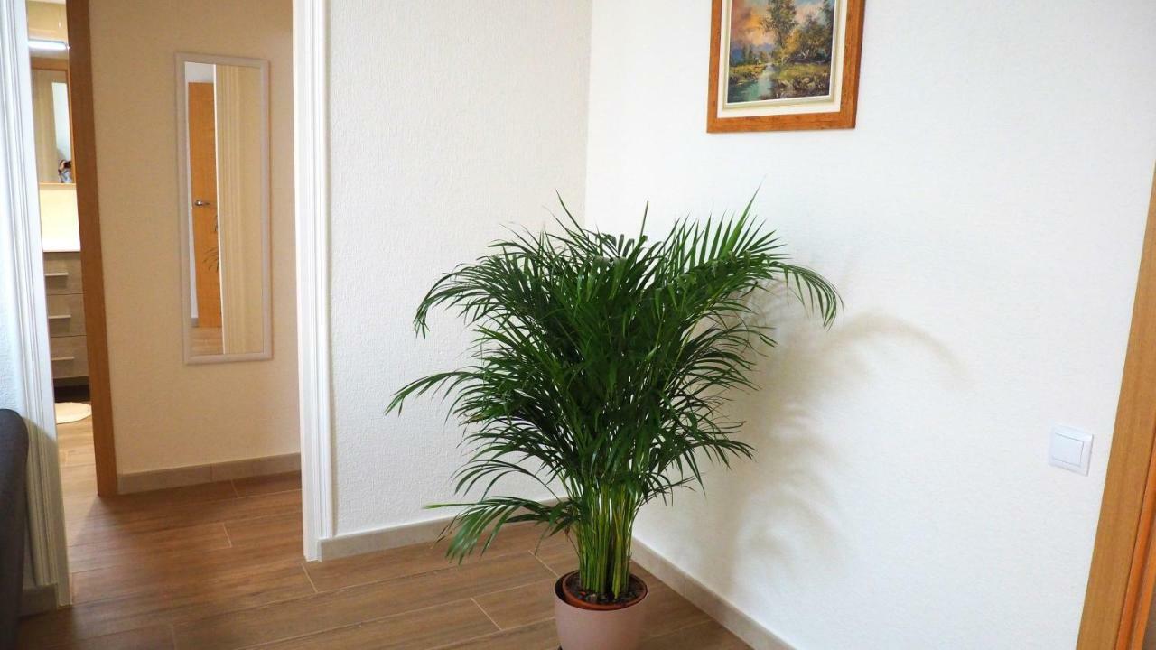 Apartamento En Ani Alicante Exterior foto